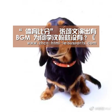  雷速体育