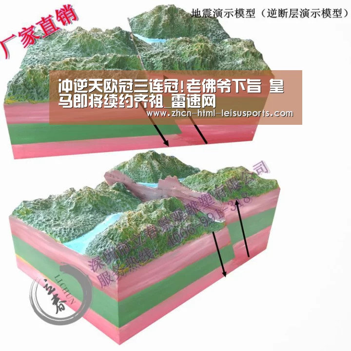  体育比分