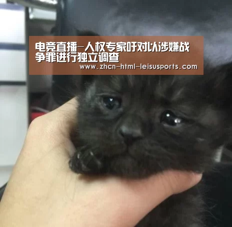  比分直播