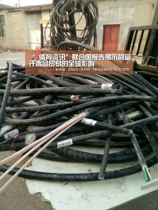 雷速网